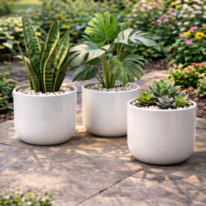 Plant Pot Set